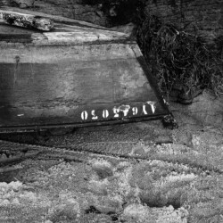 © Philk Plate sur la plage