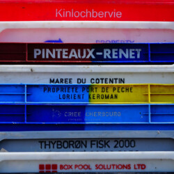 © Philk Bacs de criée, Manche, Cotentin