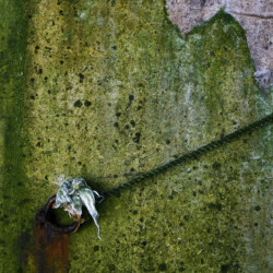 © Philk Peinture marine