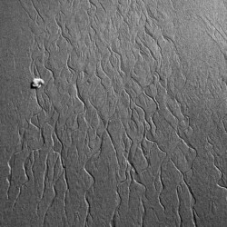 © Philk Dessin de plage