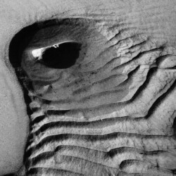 © Philk Trou d'eau sur la plage