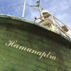 © Philk Epave sur l'île de Noirmoutier, Vendée