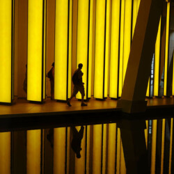 © Philk Fondation louis Vuitton, Paris