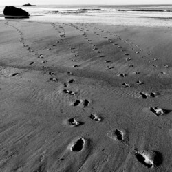 © Philk Pas sur le sable, Bretagne