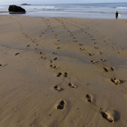 © Philk Port-Blanc, Côte sauvage de Quiberon