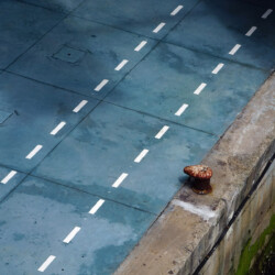 © Philk Sur les quais de Santander, Espagne