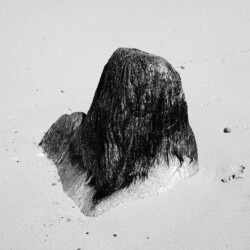 © Philk Rocher et algues