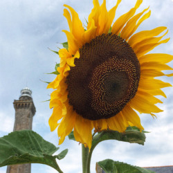 © Philk Tournesol et phare d'Eckmühl, Finistère