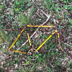 © PhilK Epave de vélo Motoconfort